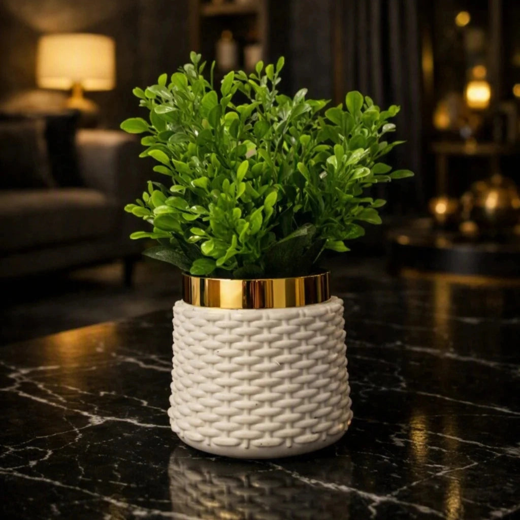 A green leafy plant in a white woven ceramic pot with a shiny gold band, placed on a black marble table in a dimly lit modern living room.