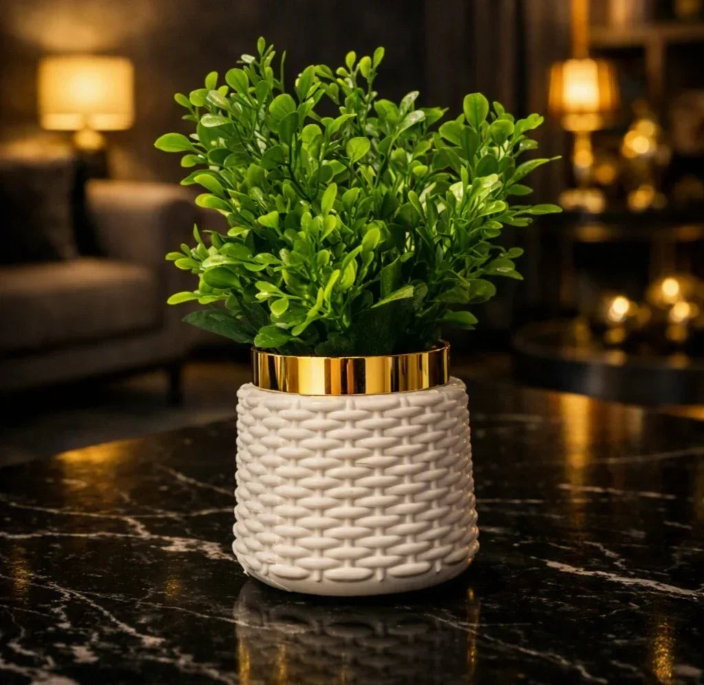 A small green leafy plant in a white woven-texture cylindrical pot with a shiny gold band, placed on a dark marble tabletop in a softly lit indoor setting.