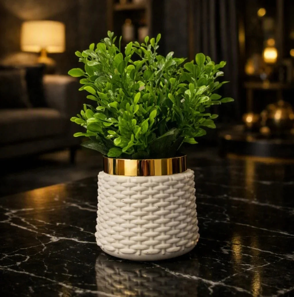 A green leafy plant in a white woven ceramic pot with a shiny gold band, placed on a black marble table in a dimly lit modern living room.