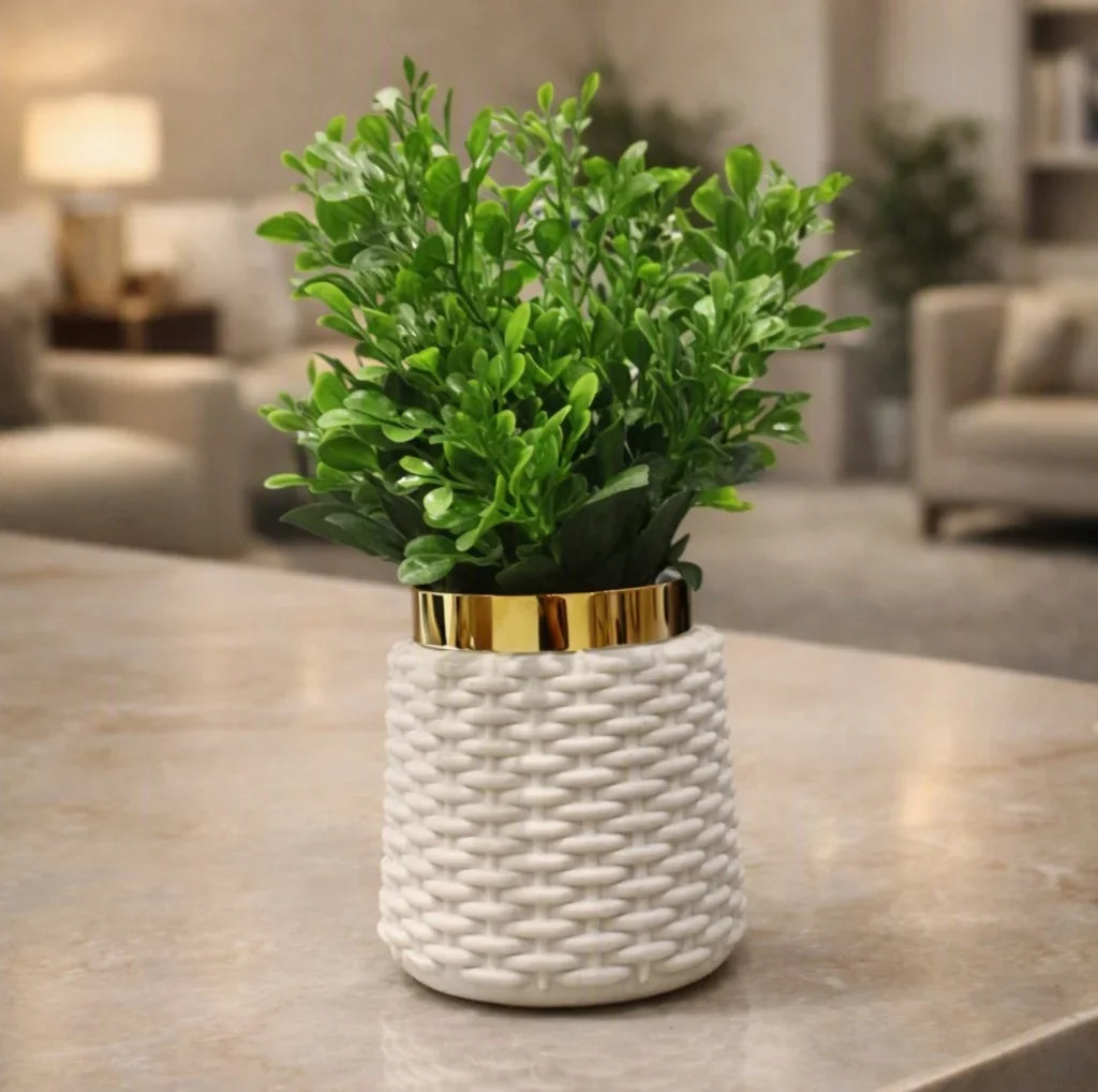 A small green potted plant with dense foliage sits on a light stone countertop in a softly blurred living room setting. The pot is white with a woven texture and a shiny gold band around the neck.