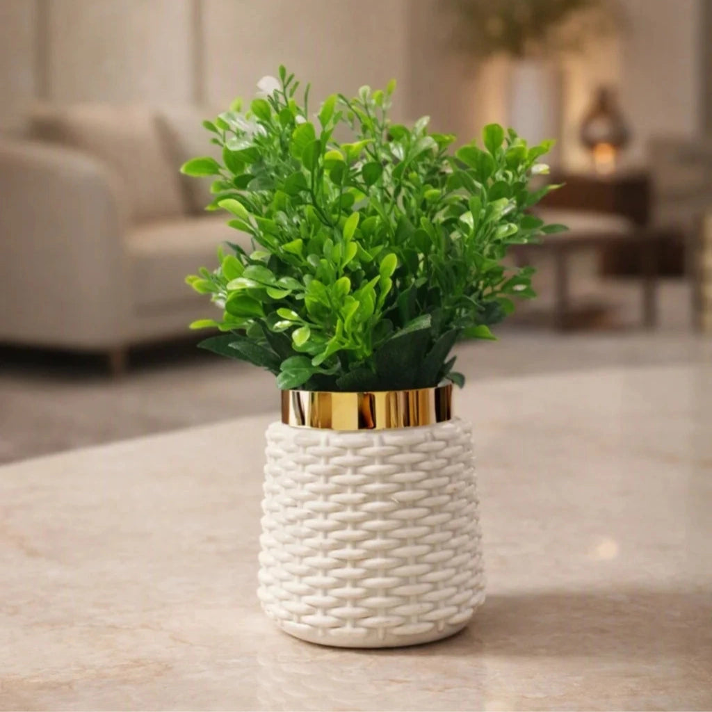 A small green leafy plant in a white woven cylindrical pot with a shiny gold band, placed on a light stone surface in a softly blurred living room setting.